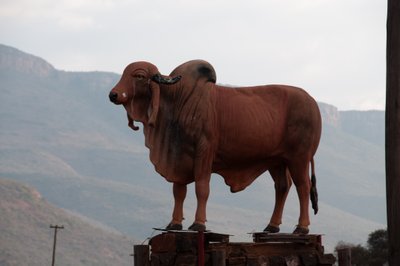 20090808093949 - Brahma Statue in Limpopo, ZA
