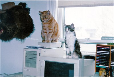 Nugget And Gowron At Attention